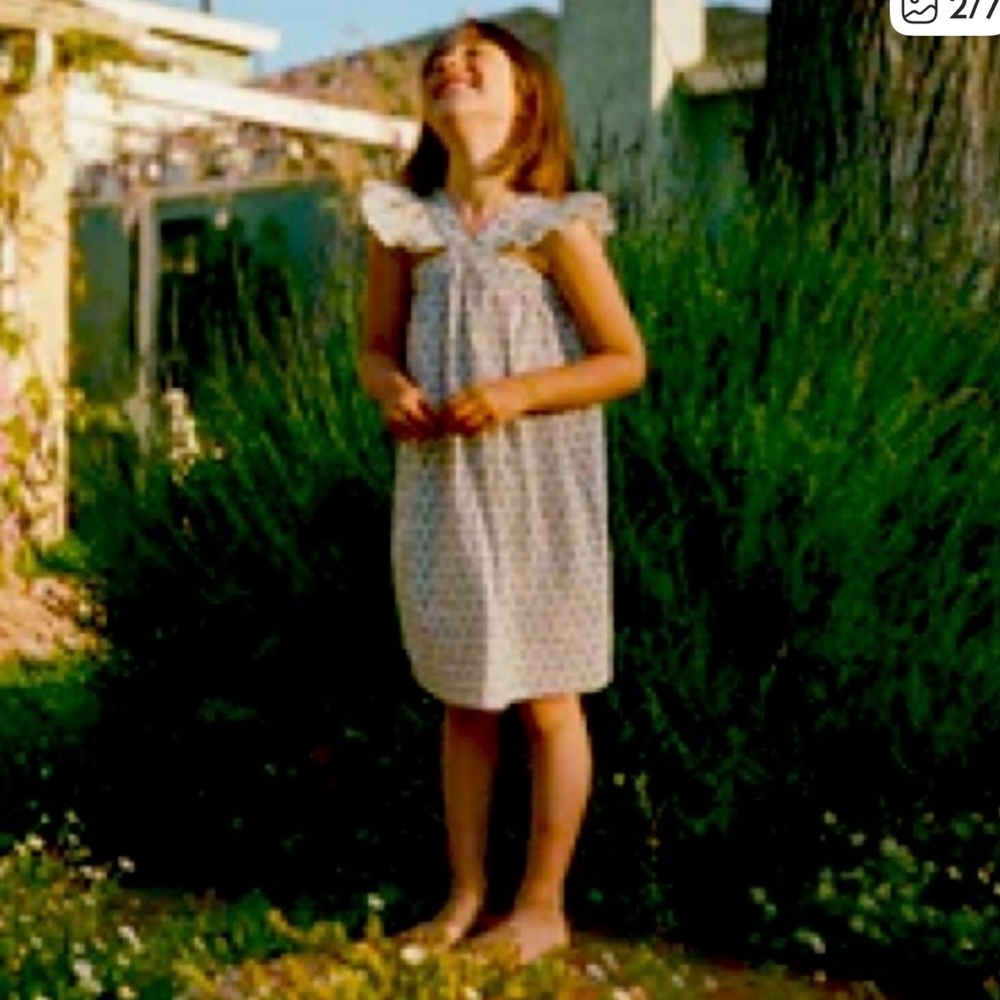 Doen Little Nisha Dress- Blue Meadow Floral. EUC